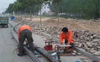 金乡公司捉住机缘营生长，艰辛创业拓绚烂