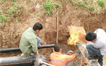 战胜难题促生长、同心协力渡难关