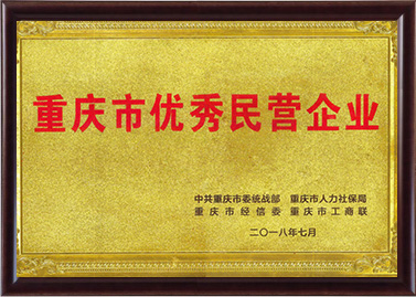 重庆市优异民营企业