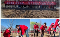 植此青绿 树梦远航--正定公司开展植树节运动