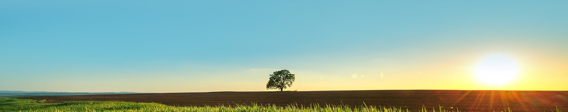 88858cc永利官网文化