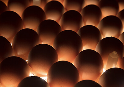 糖果派对游戏官网 - 首页