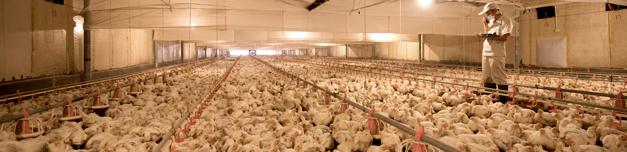 糖果派对游戏官网 - 首页