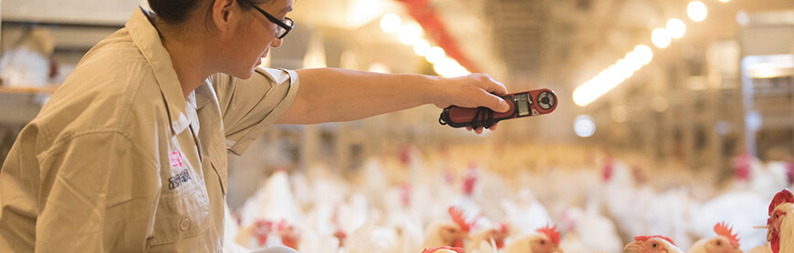 糖果派对游戏官网 - 首页