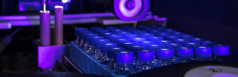 糖果派对游戏官网 - 首页