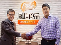 糖果派对游戏官网 - 首页