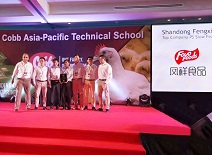 糖果派对游戏官网 - 首页