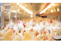 糖果派对游戏官网 - 首页