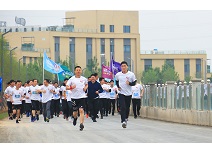 糖果派对游戏官网 - 首页