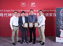 糖果派对游戏官网 - 首页