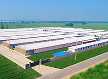 糖果派对游戏官网 - 首页