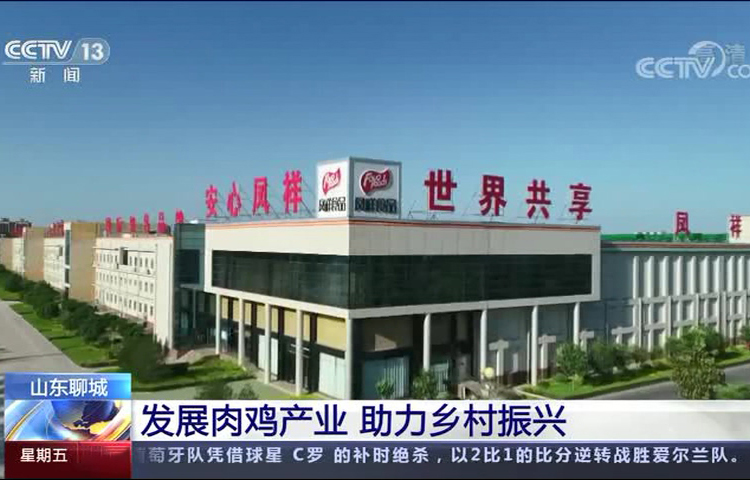 糖果派对游戏官网 - 首页