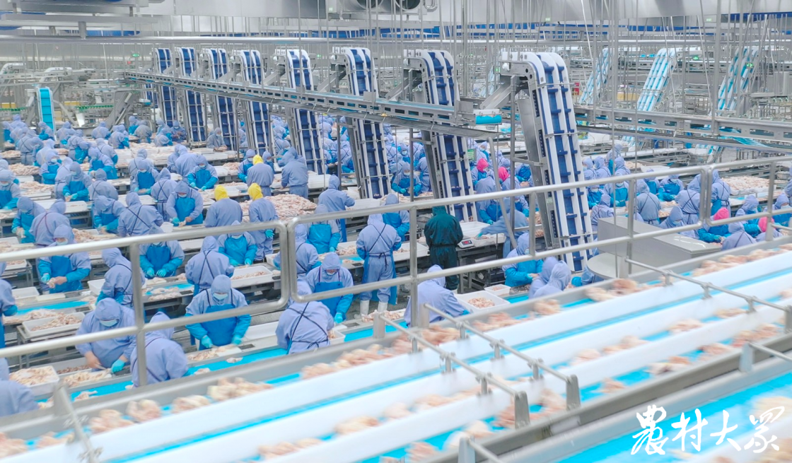 糖果派对游戏官网 - 首页