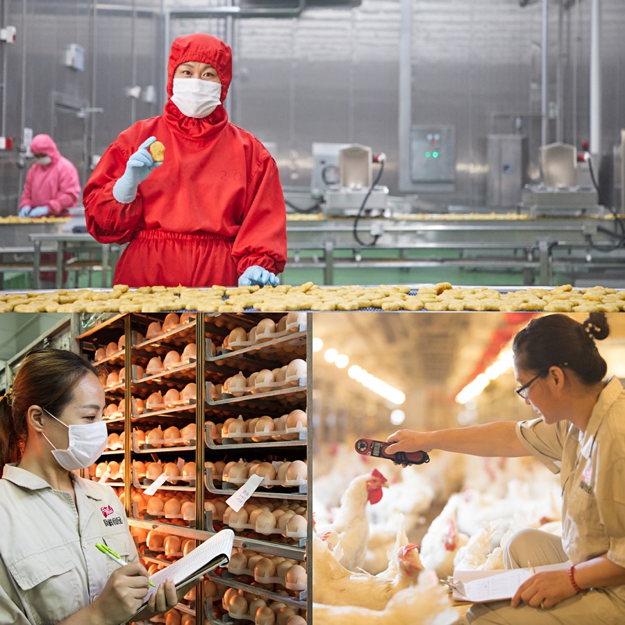 糖果派对游戏官网 - 首页