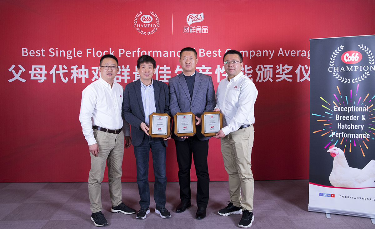 糖果派对游戏官网 - 首页