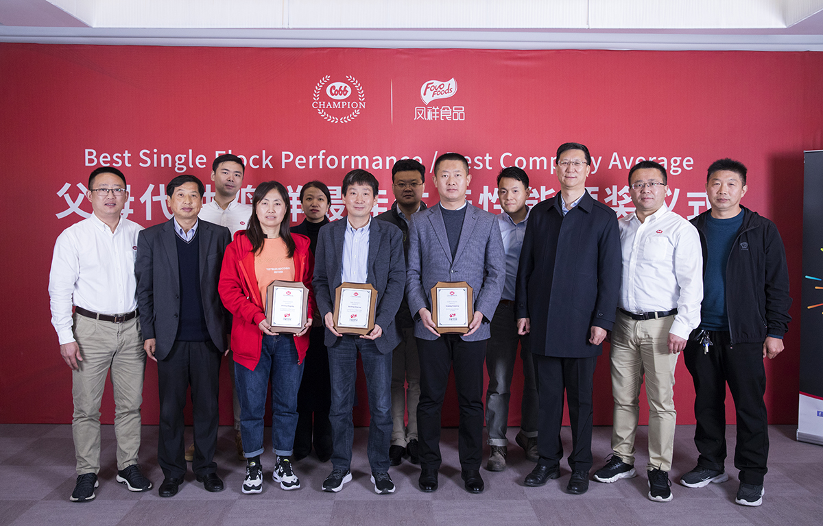 糖果派对游戏官网 - 首页